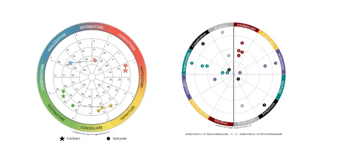 Ruote del team di TTI Success Insights