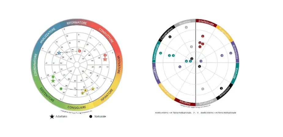 Ruote del team di TTI Success Insights